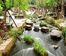千年水碼頭、古鎮(zhèn)黃龍溪一日游